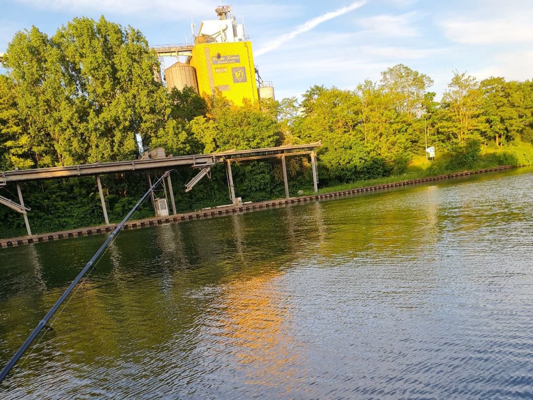 Stichkanal Salzgitter (Vechelde) angeln