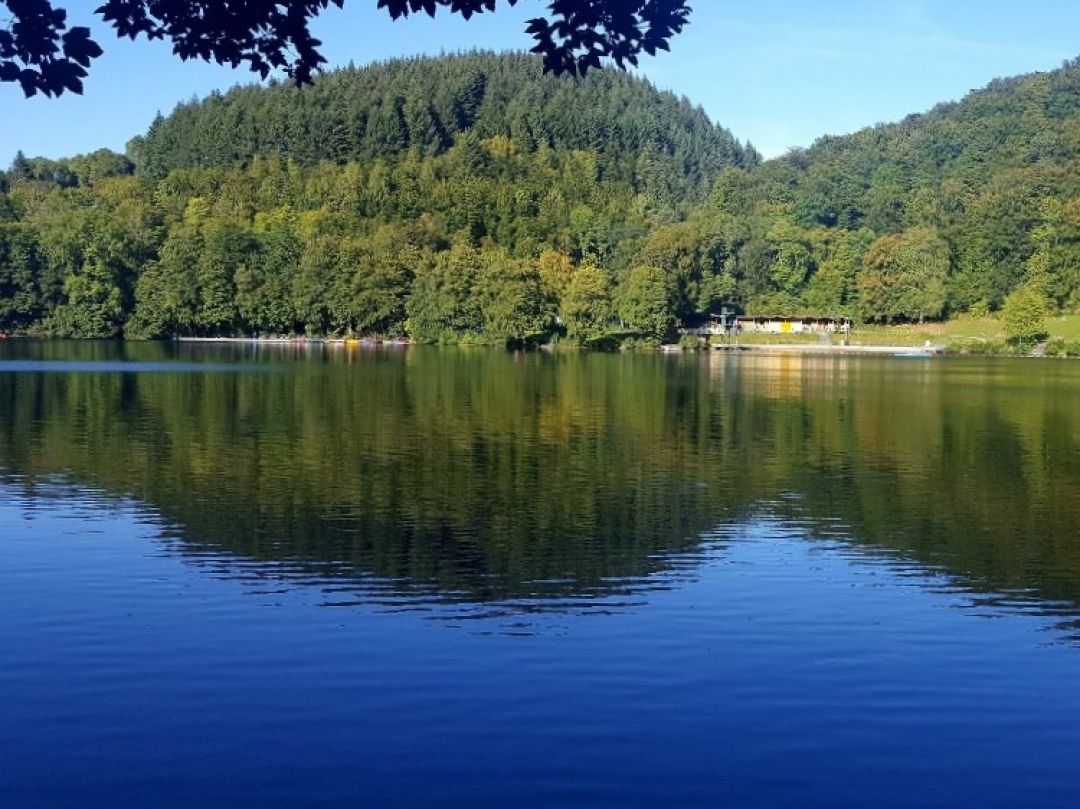 Gemündener Maar angeln