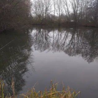 Hürkampteich (Gladbeck)