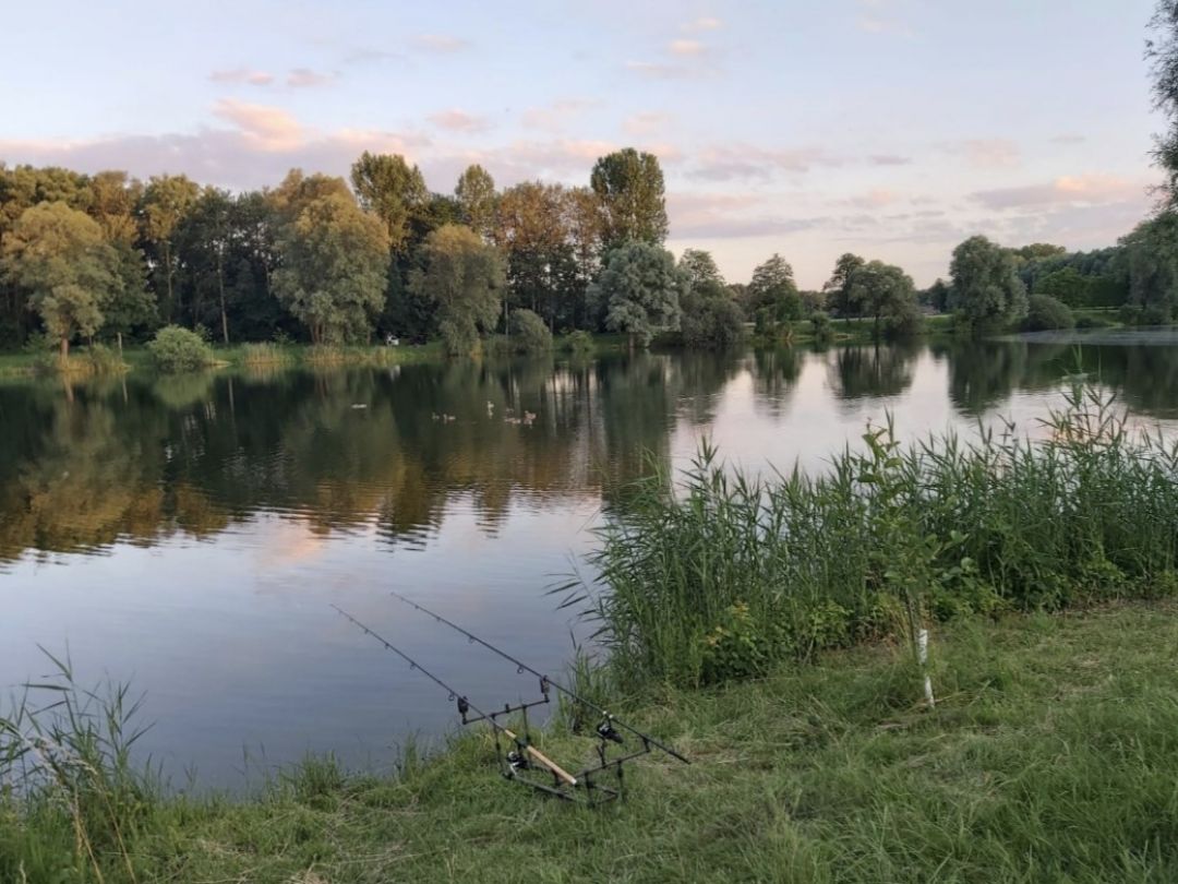 Sonderheimer See angeln