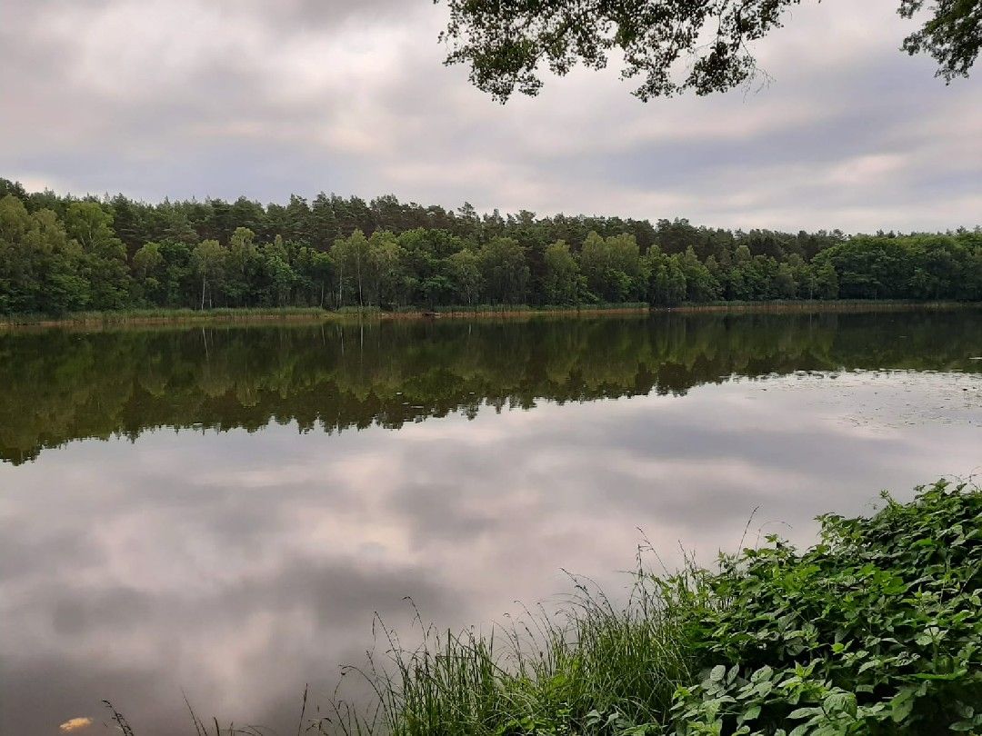 Haussee (Beerenbusch) angeln