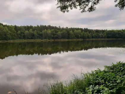 Haussee (Beerenbusch)