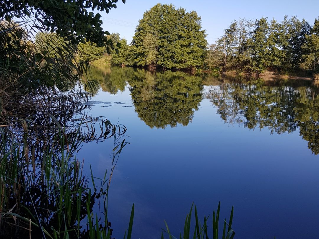 Dahlener Kiessee (Stendal) angeln