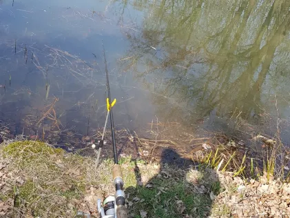Teich Tiefensee