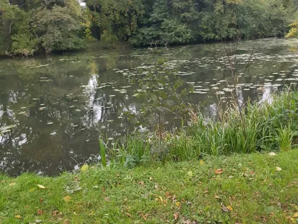 Ehleteich (Möckern)