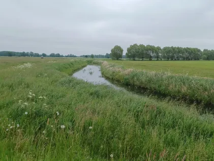 Secantsgraben