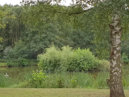Surbachsee