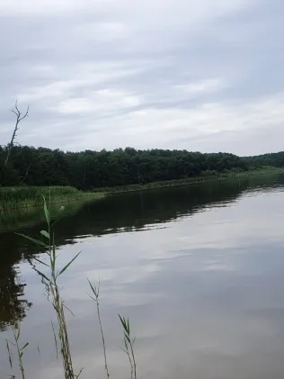 Thürensee