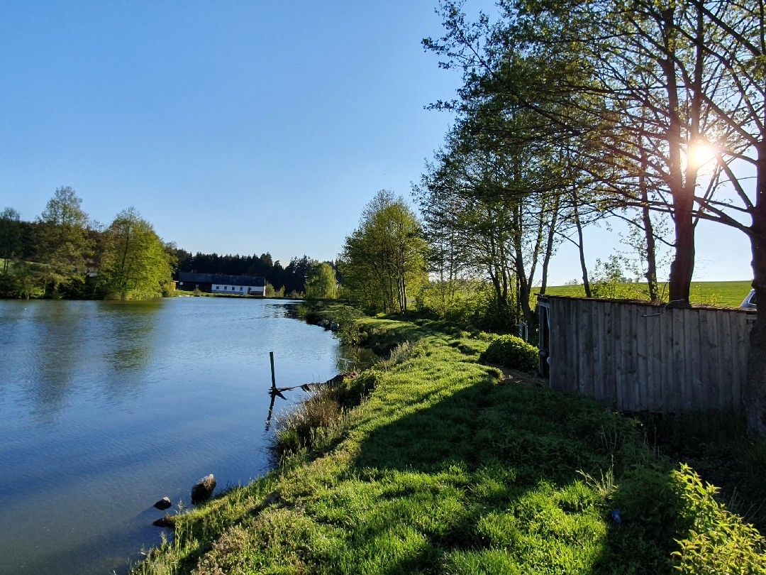 Bodenmühlweiher (Schönkirch) angeln