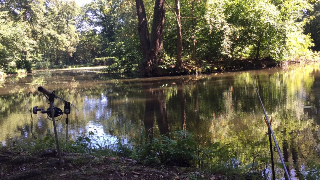 Langer Teich (Beetzendorf) angeln