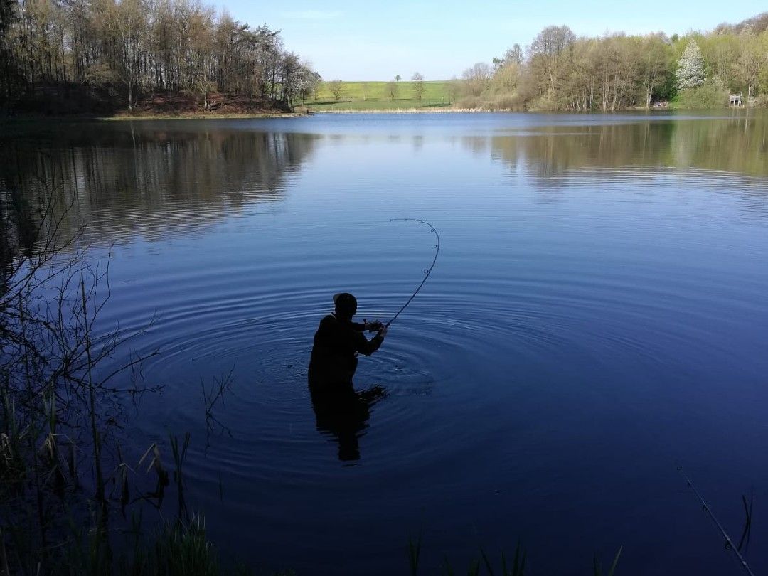 Holzmaar angeln