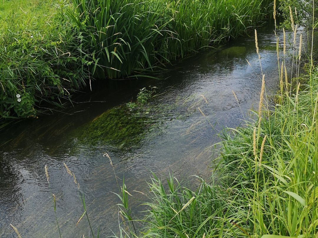 Angeln in Lauenbrück