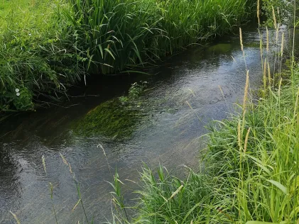 Fintau (Lauenbrück)