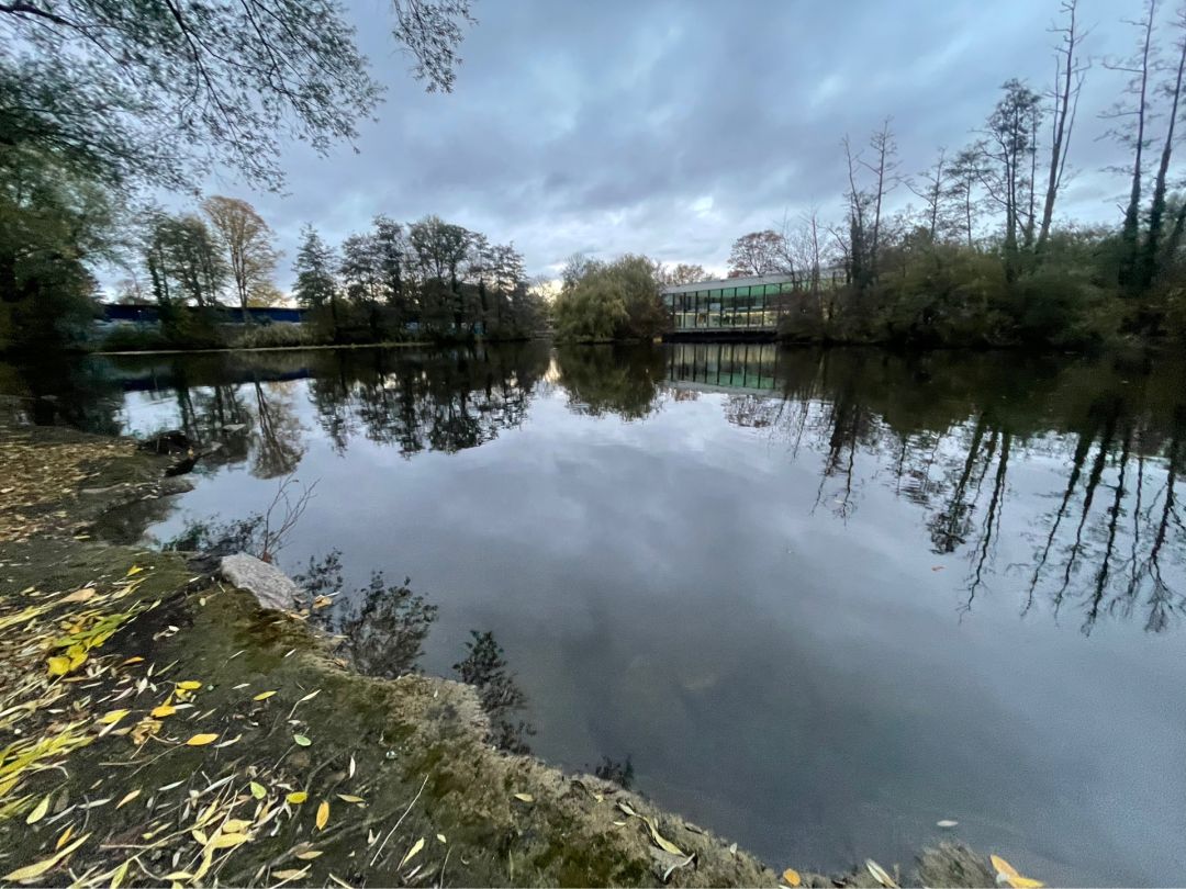 Rosentalsee (Vaihingen) angeln