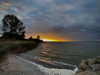 Saaler Bodden
