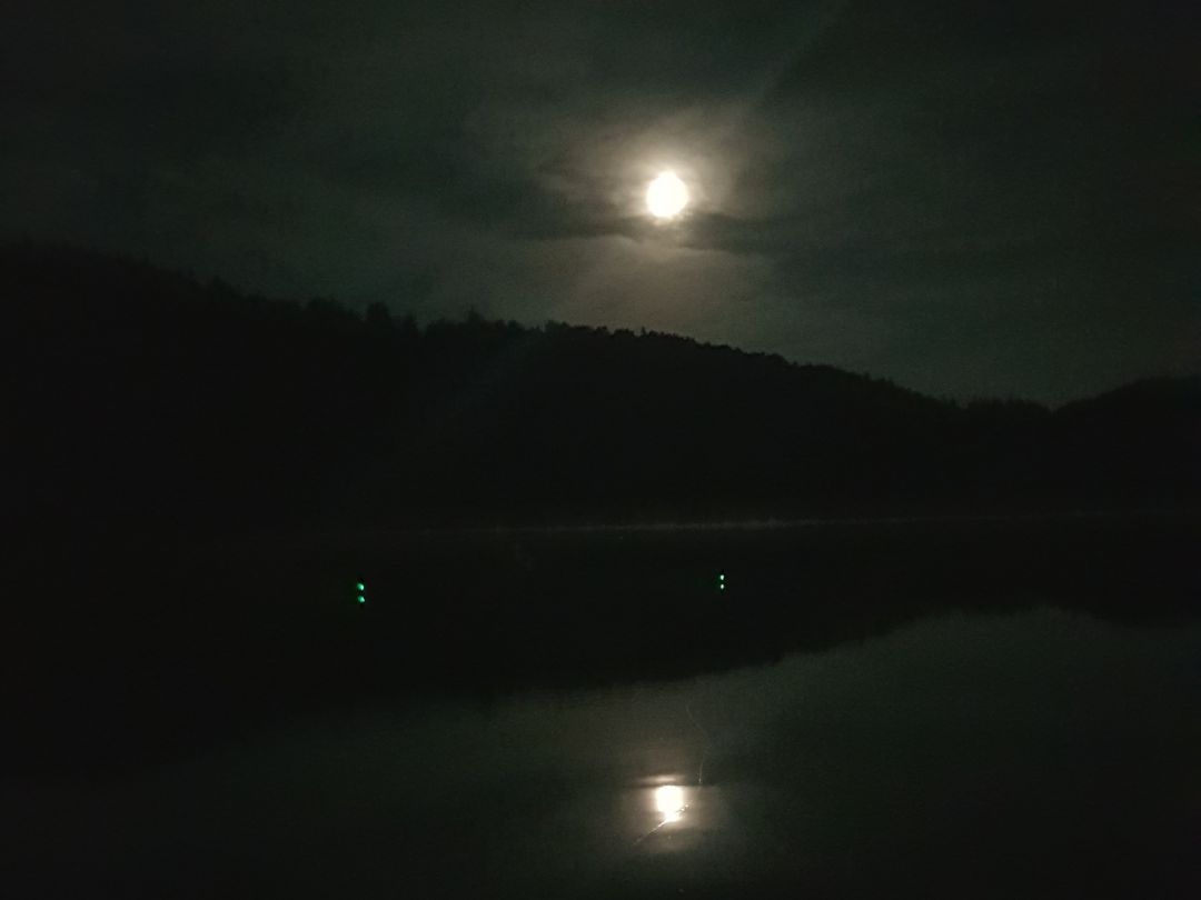 Waldweiher (Dietramszell) angeln