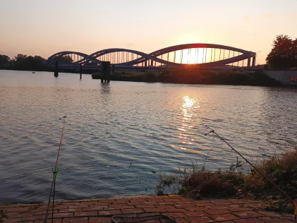Entenwerder Halbinsel (Hamburg)