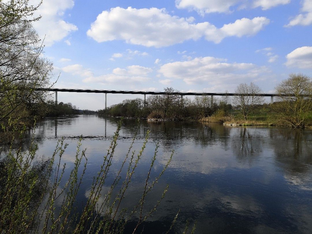 Ruhr (Mülheim an der Ruhr) angeln