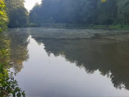 Langethalsteich
