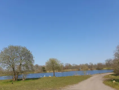 Forellensee FangMehr (Kleinvollstedt)