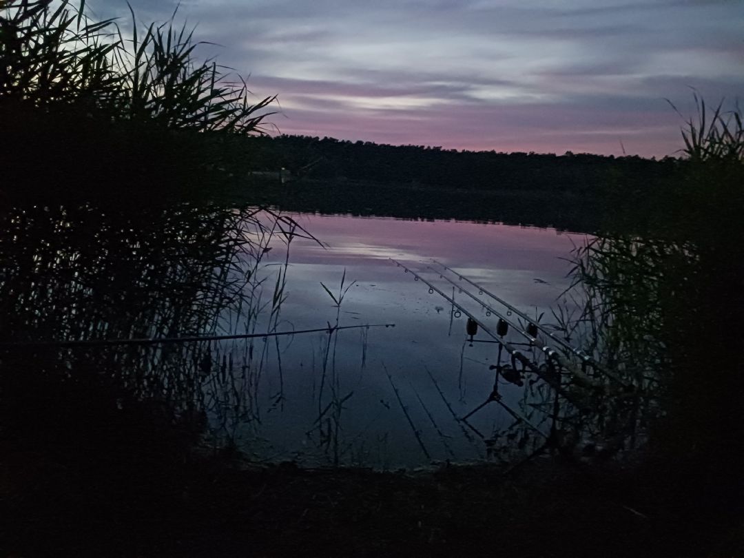 Niedringhaussee angeln