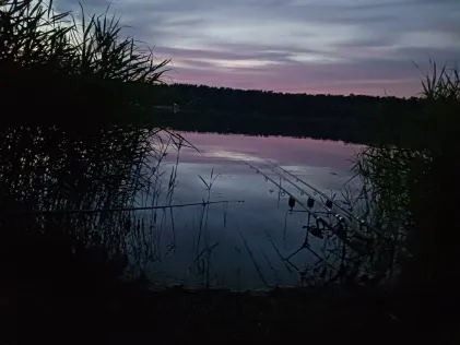 Niedringhaussee