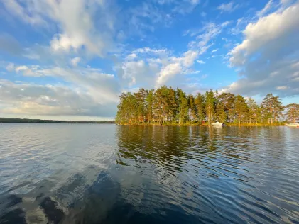 Viken