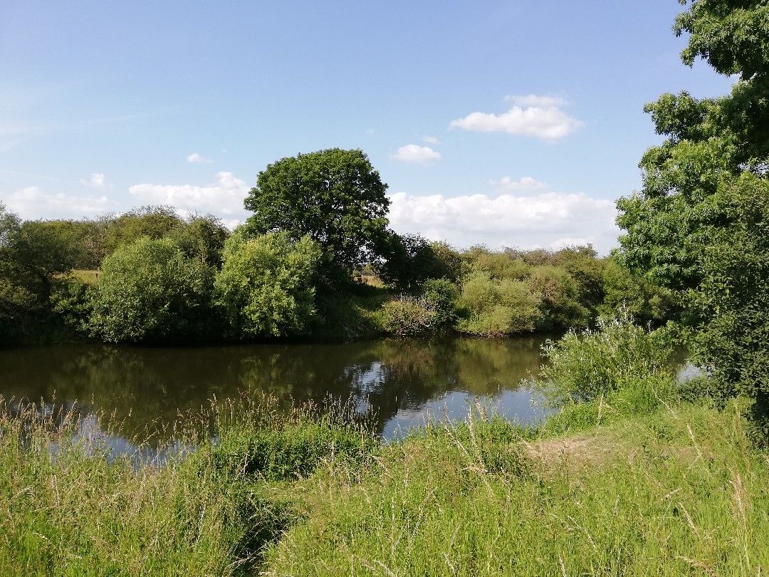 Lippe (Hünxe) angeln