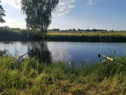 Spree (Cottbus)