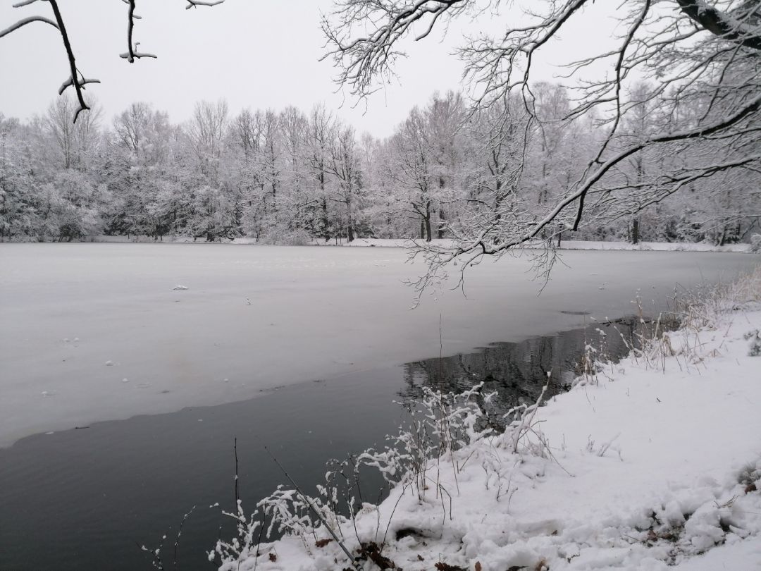 Engeleiteiche Dürrhennersdorf angeln