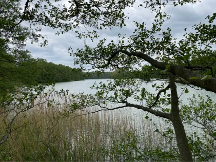 Haussee (Suckow)