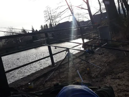 Parkteich Elstra