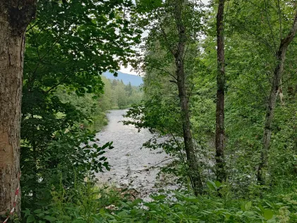 Großer Regen (Ludwigsthal)