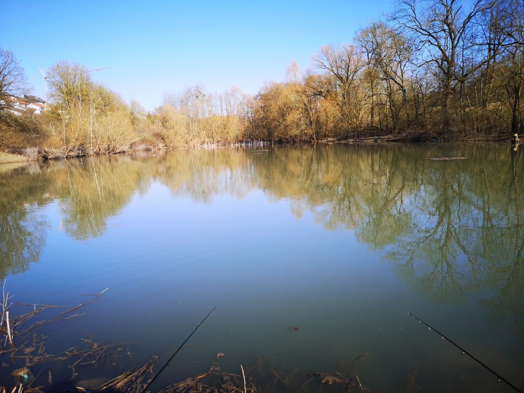 Rückhaltebecken Ketschendorf angeln