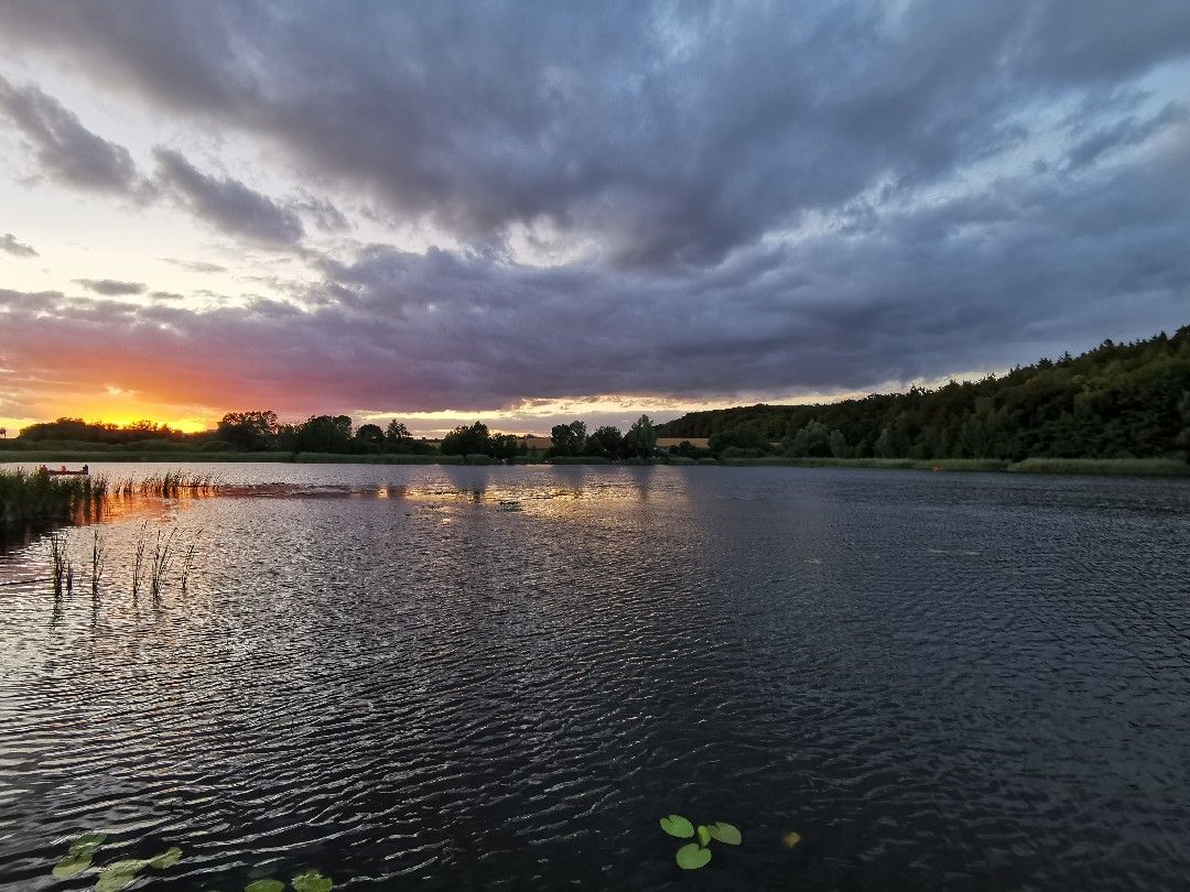 Langhäger See angeln