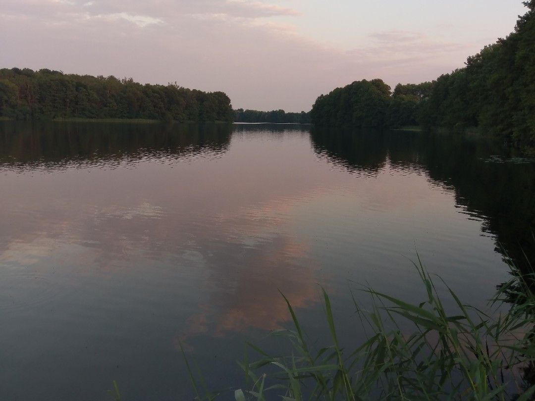 Kritzower See angeln