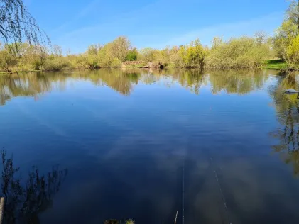 Laatzener Teiche