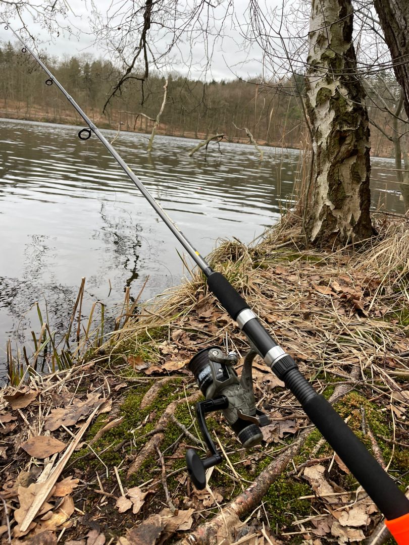 Obersee (Lanke) angeln