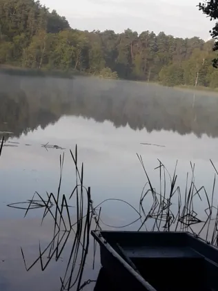 Nehmitzsee