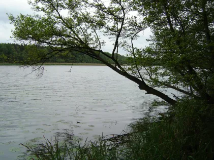 Butzener See