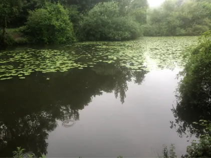 Altarm Drei Eichen (Warendorf)