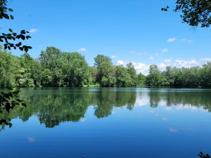 Waldsee Ernsgaden