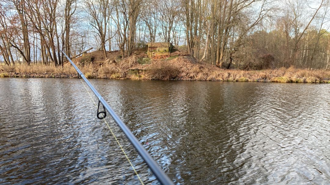 Oder-Havel-Kanal (Kreuzbruch) angeln