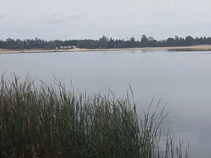 Kiesgrube Luppa 3