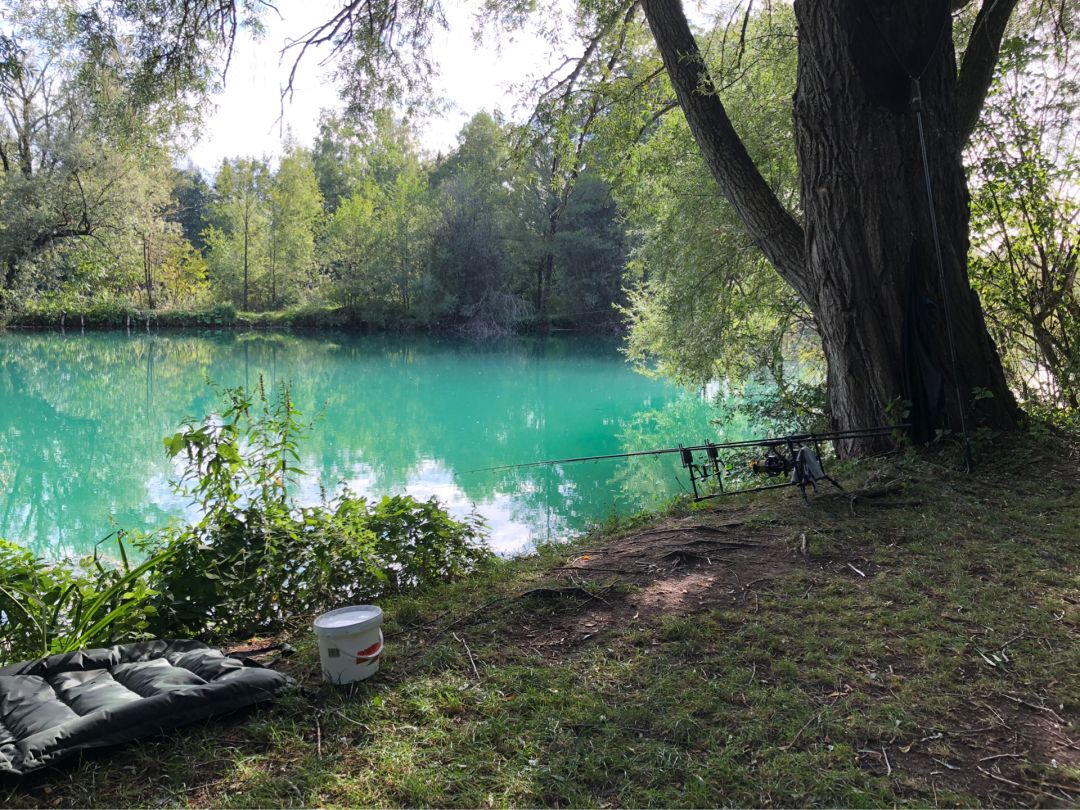 Kringweiher (Königsbrunn) angeln