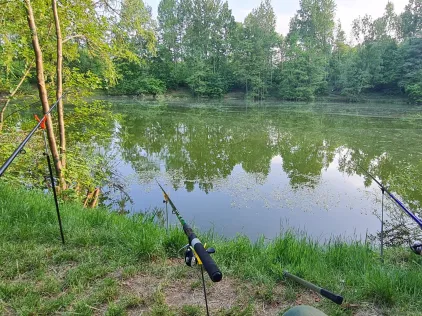 Baggersee Hohenesch