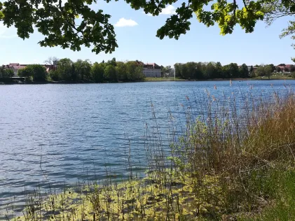 Glambecker See (Neustrelitz)
