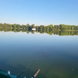 Langer See (Heidesee)