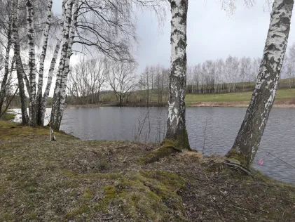 Bobritzscher Teich