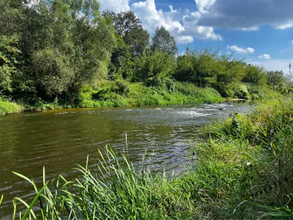 Lausitzer Neiße (Guben)